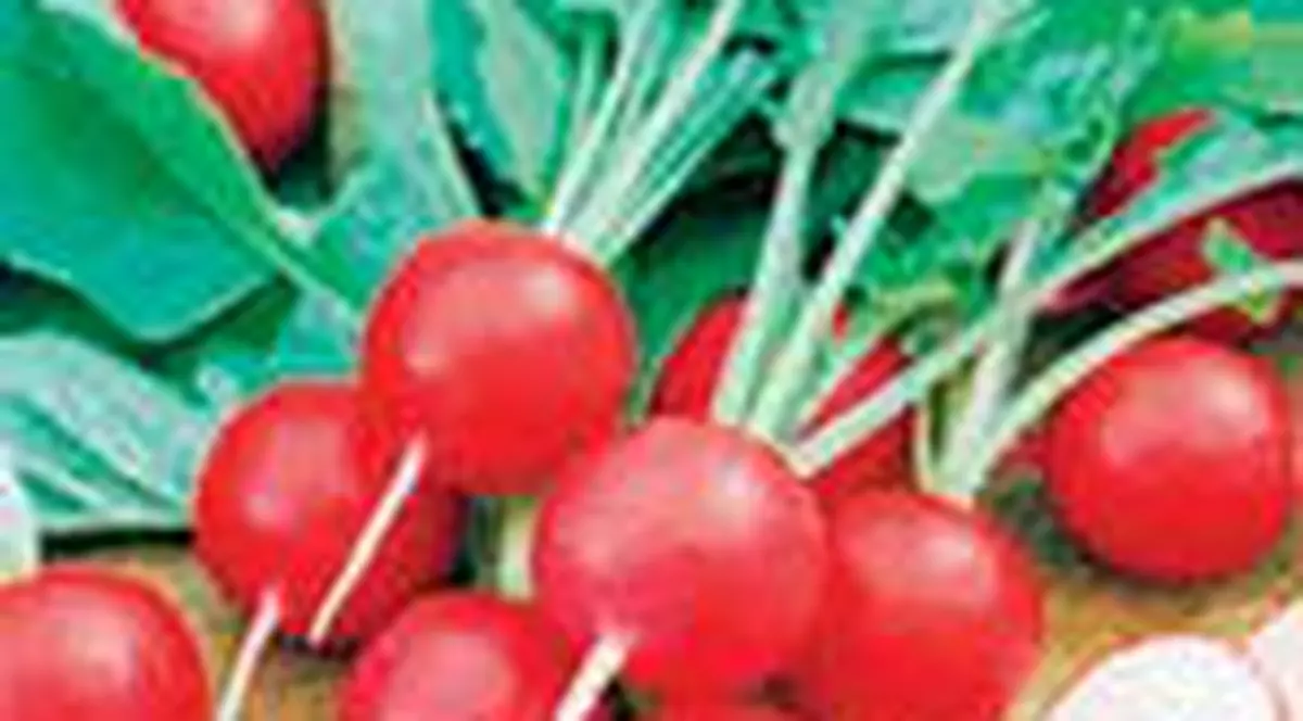 Mancati ridichi, cartofi si broccoli pentru memorie!