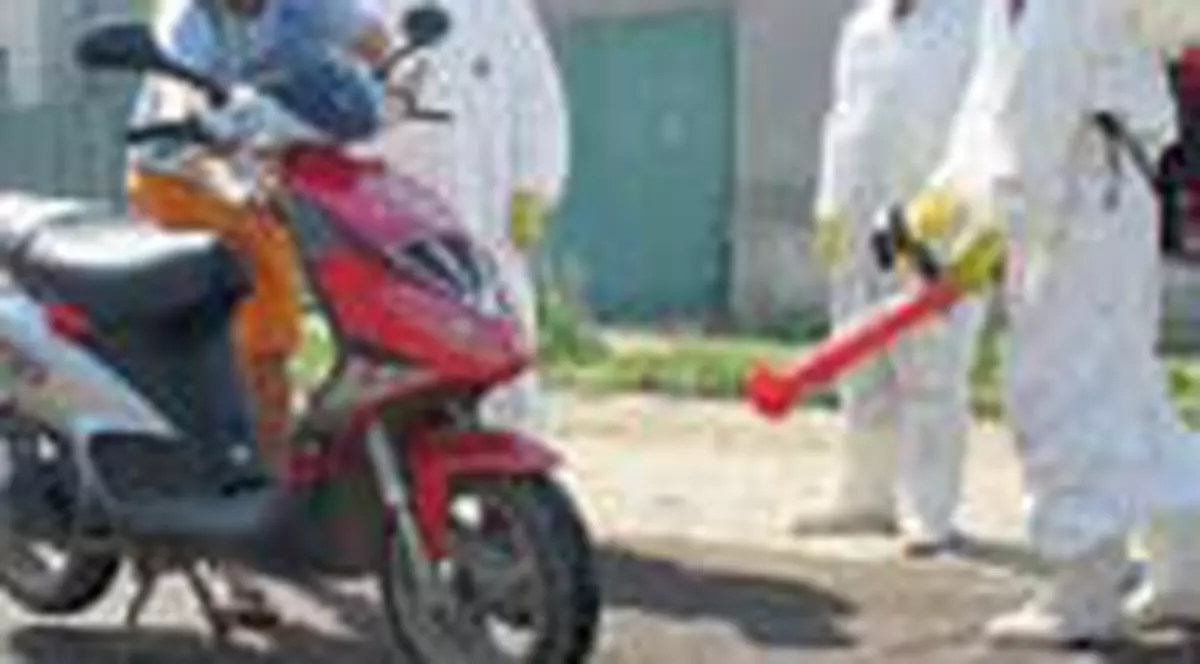 Virusul aviar a fost gasit in patru mari orase