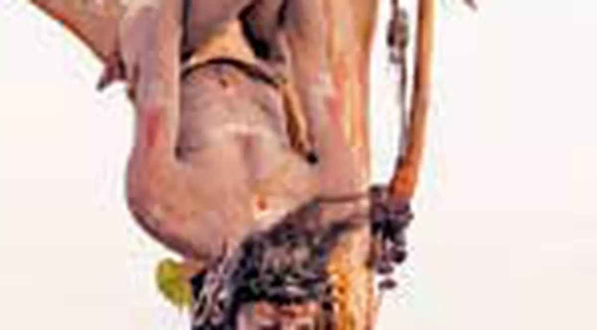 Traieste de 50 de ani in copac