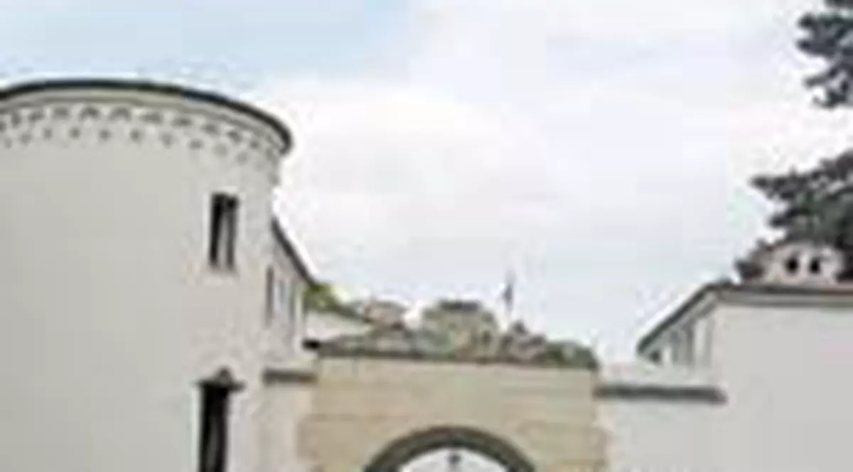 Sepepistul s-a impuscat de dorul fostei neveste