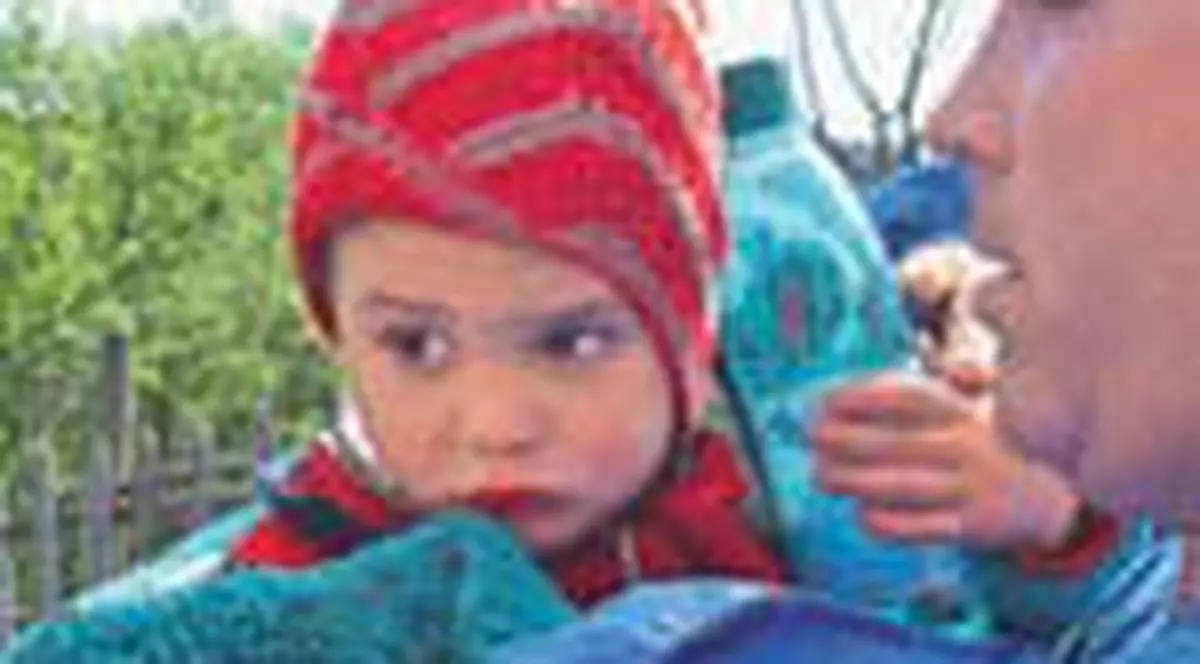 Copilul care a supravietuit in padure va fi luat de autoritati 