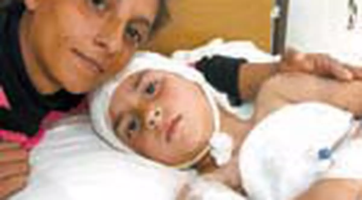 Fetita sfasiata va recunoaste cei noua caini dupa fotografii