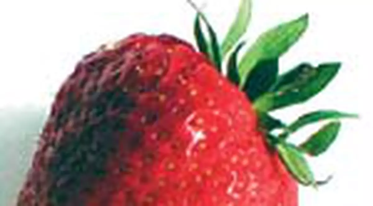 Retete de sezon de la cititori