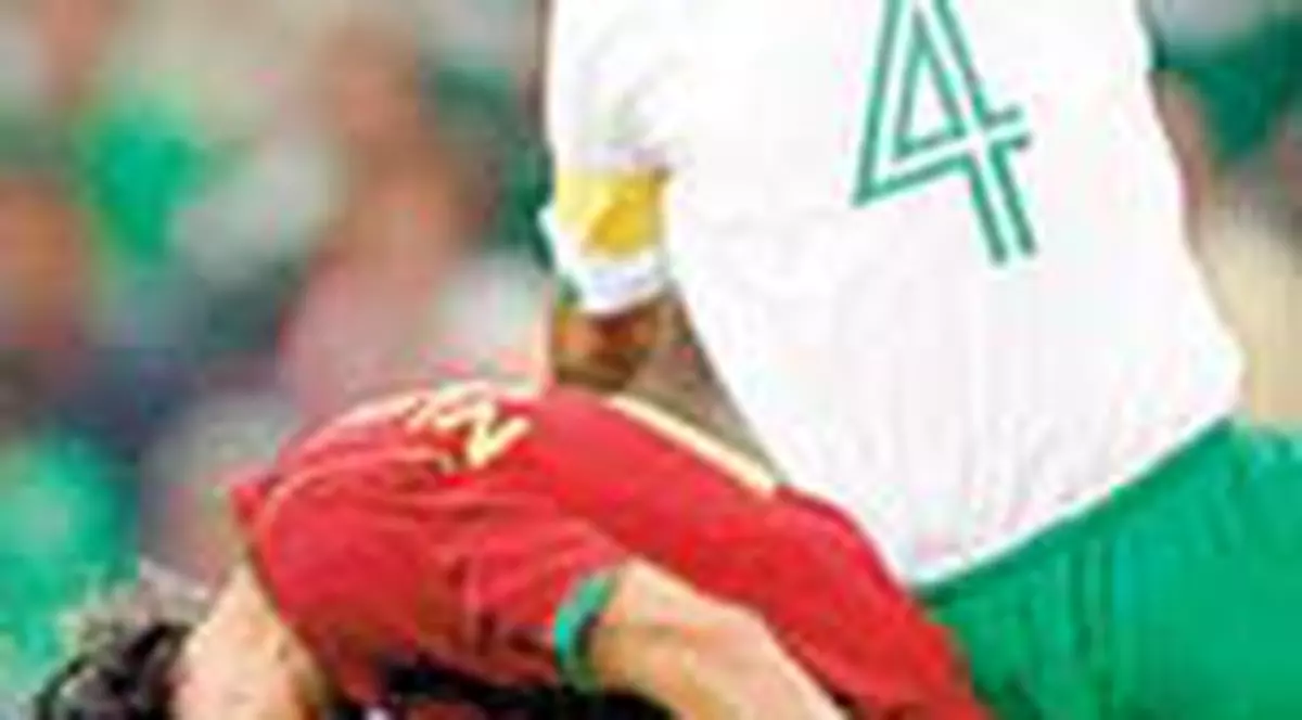 Brat la brat in 'optimi'