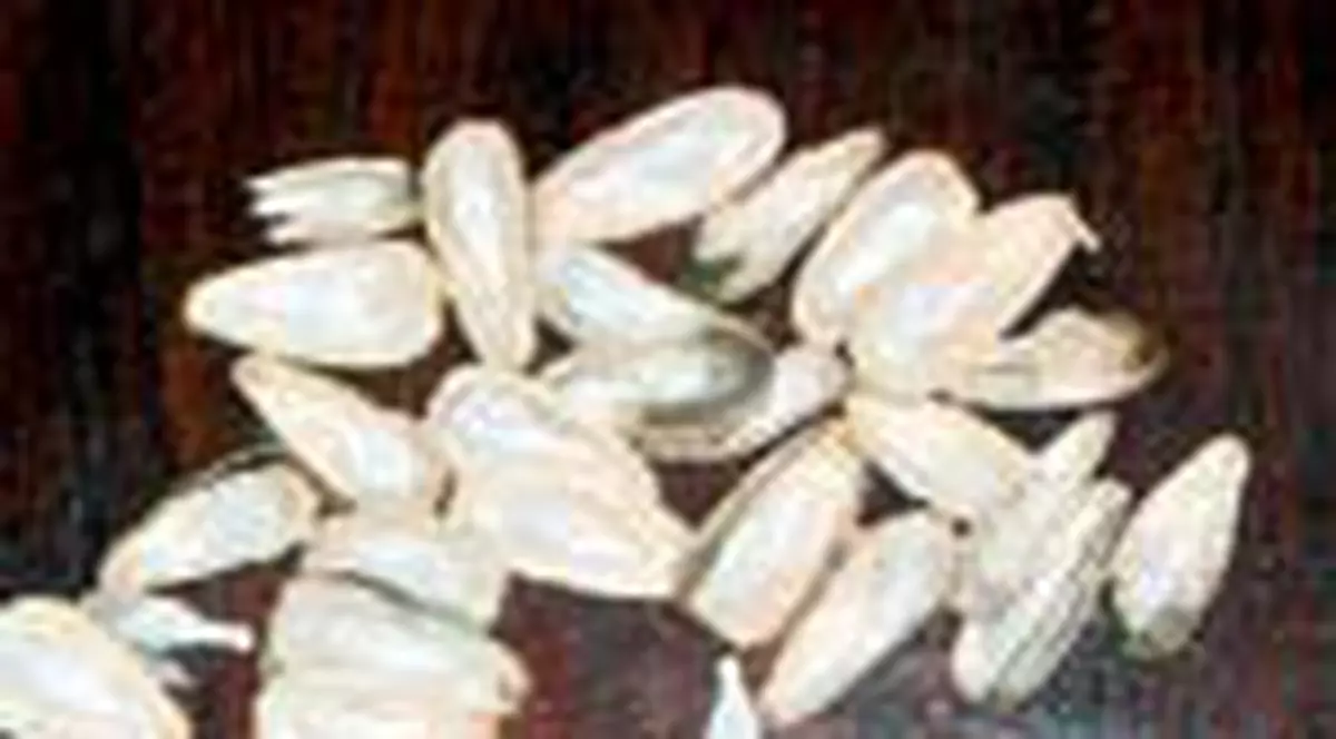 Au decojit doua kilograme de seminte cautand drogul