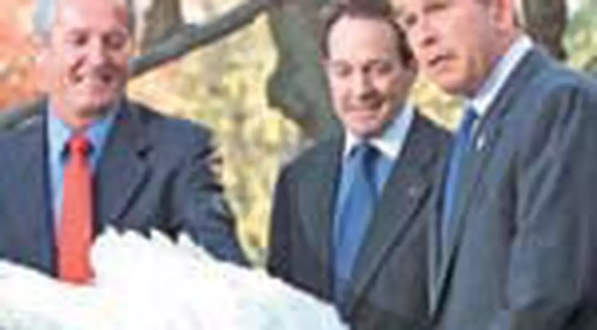 Momente penibile in 'meseria' de politician