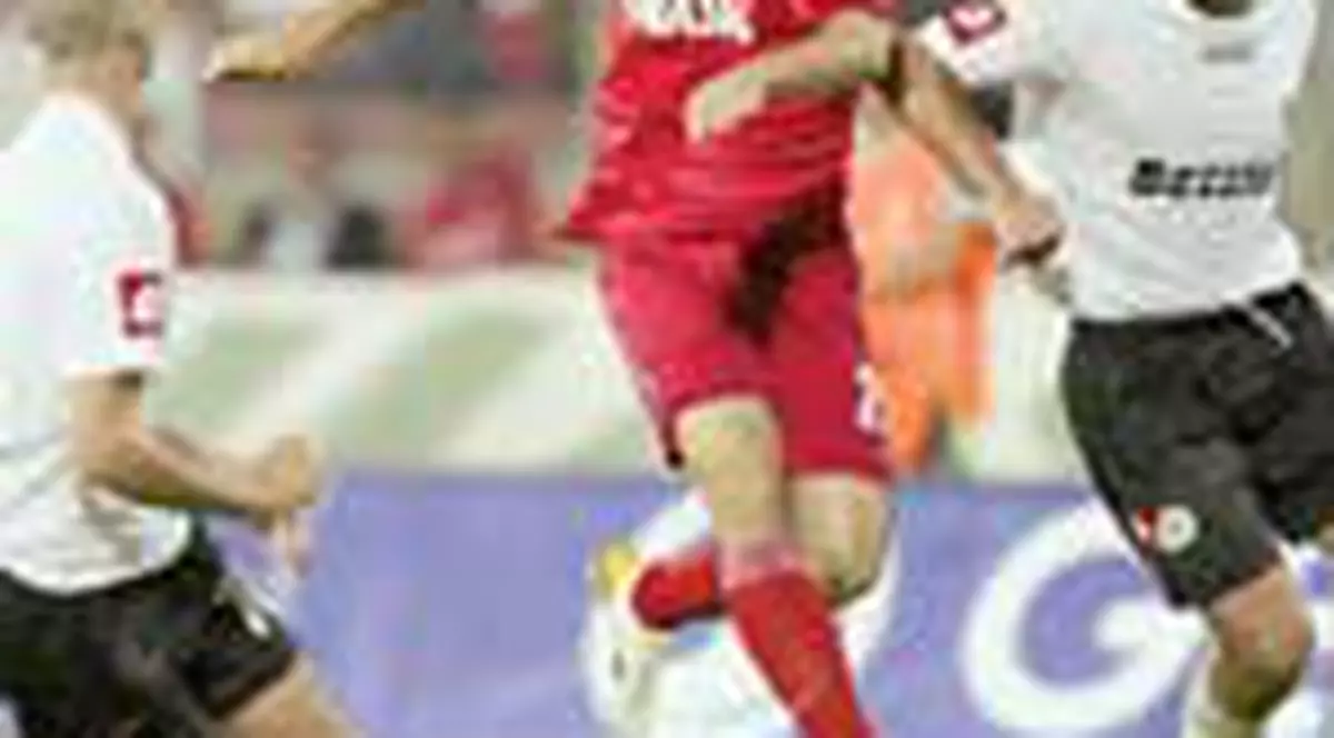 Romanii s-au distrat cu maltezii