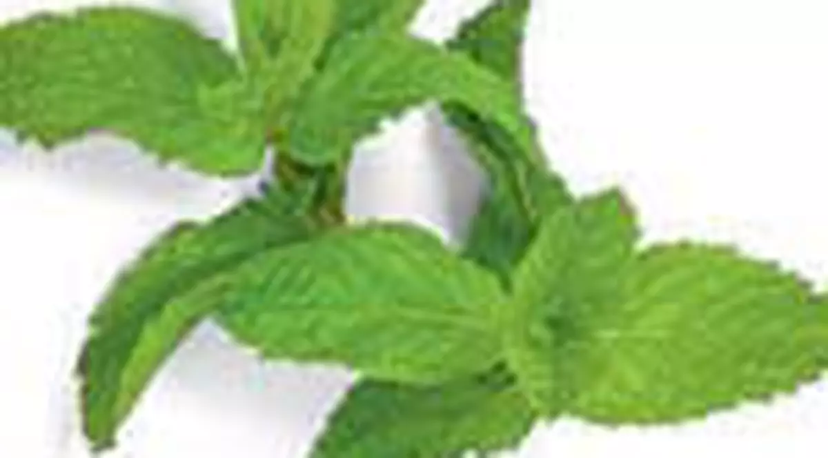 Sfaturi pentru ingrijirea fetei