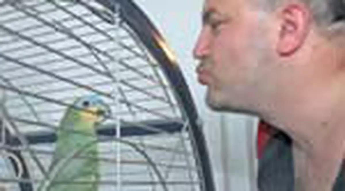 Papagalul l-a ciupit de nas pe Axinte