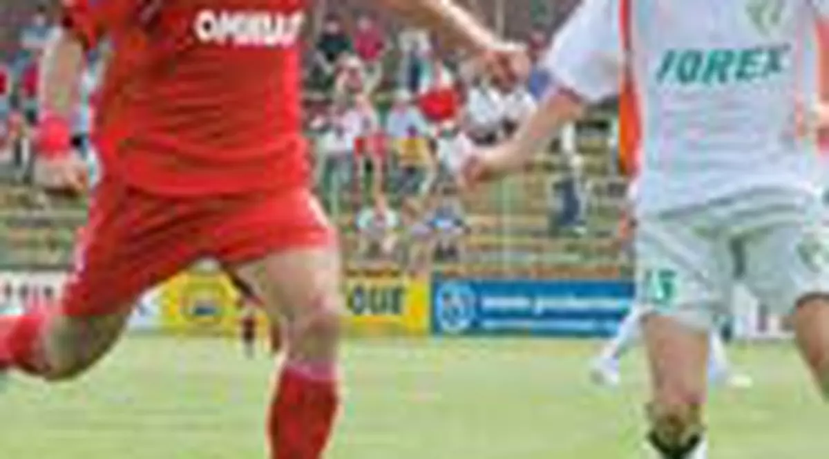 'Cainii' au batut la Brasov