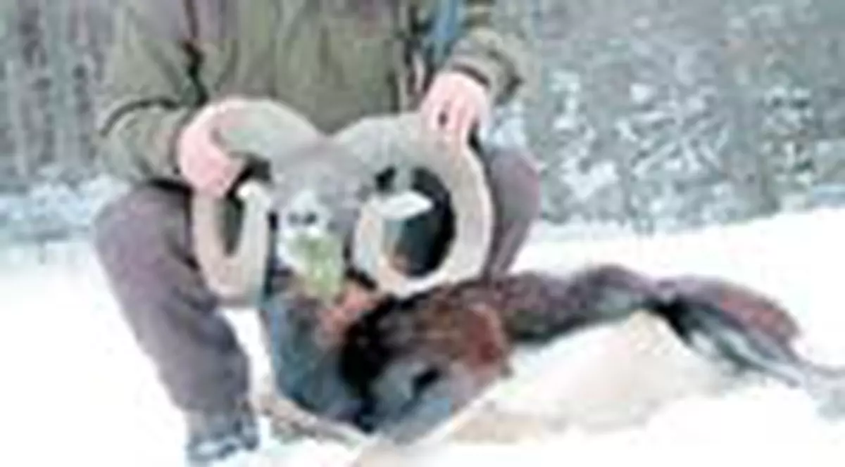 Stoicikov: 'Sunt prea bun si lumea profita de mine'