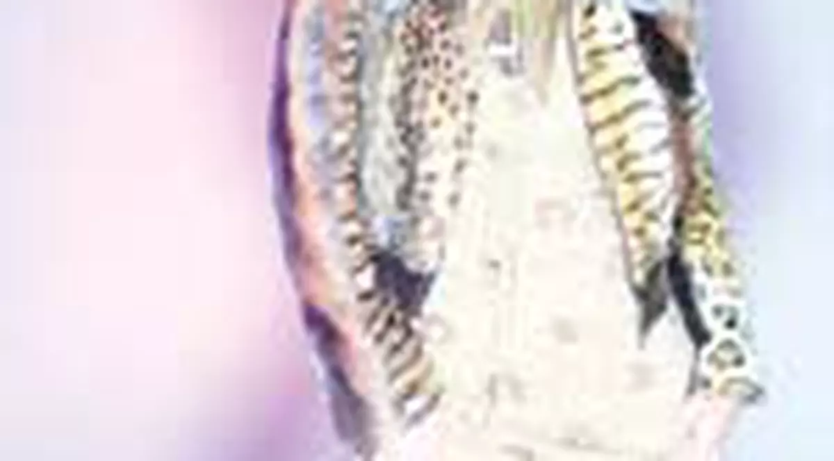 Oana de la Activ se iubeste cu Ovidiu Petre 