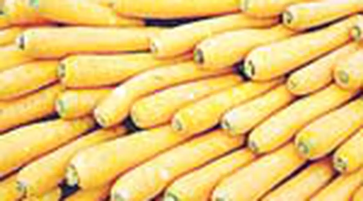 Morcovii, un complex de vitamine