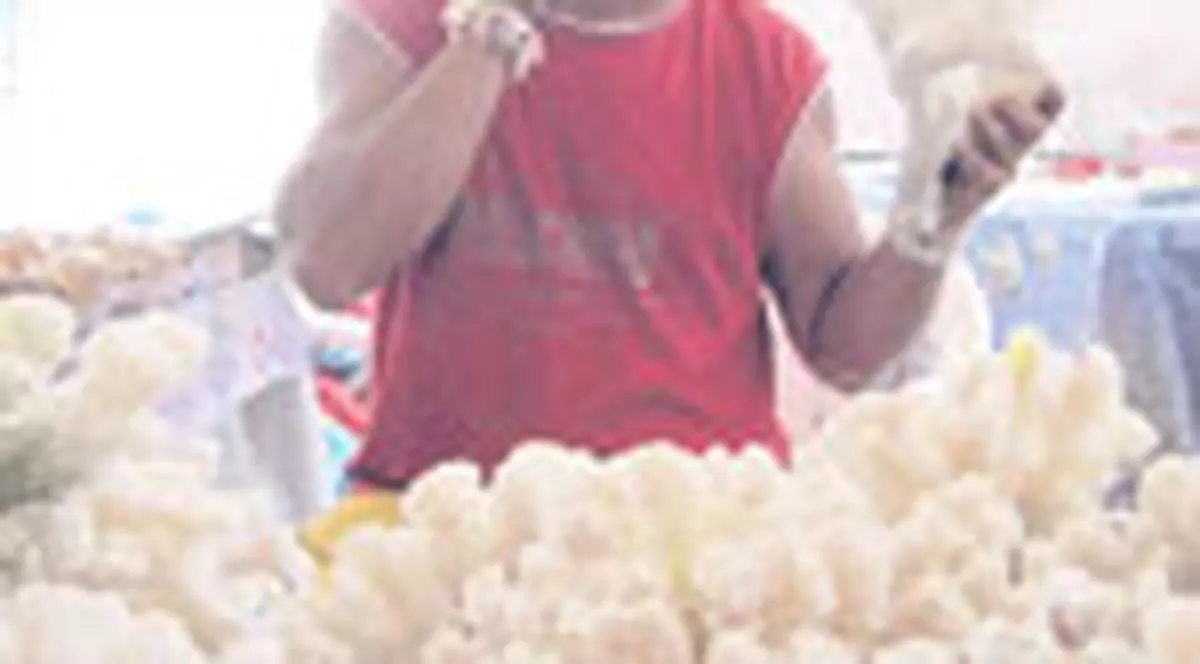 Coralii thailandezi fac furori pe plajele romanesti