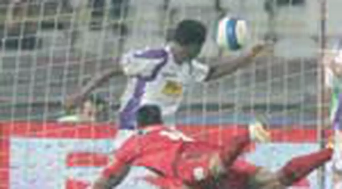 'Cainii' au muscat rau!