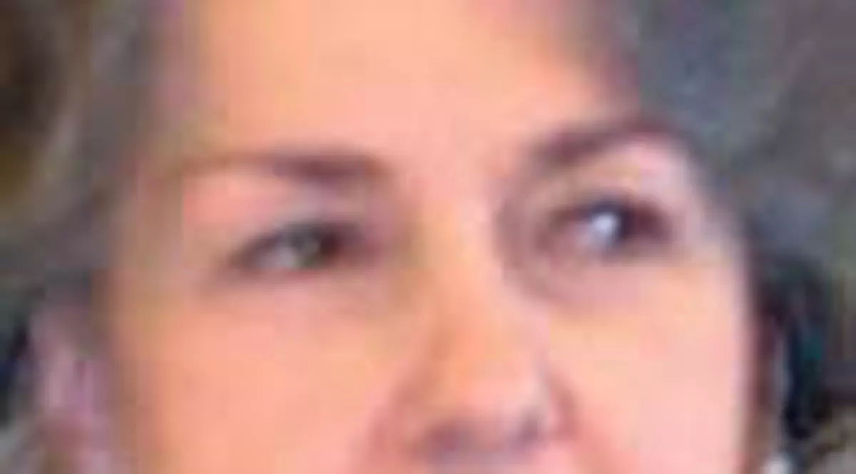 Mona Musca a ramas fara sprijin liberal