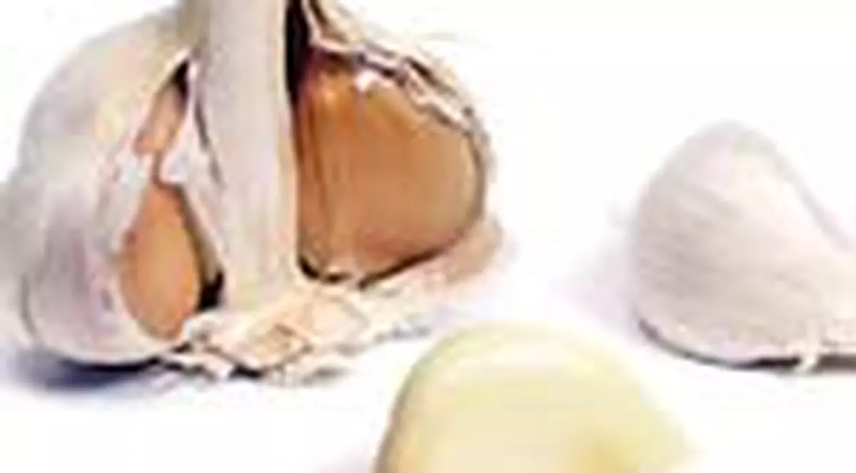 Usturoiul regleaza colesterolul