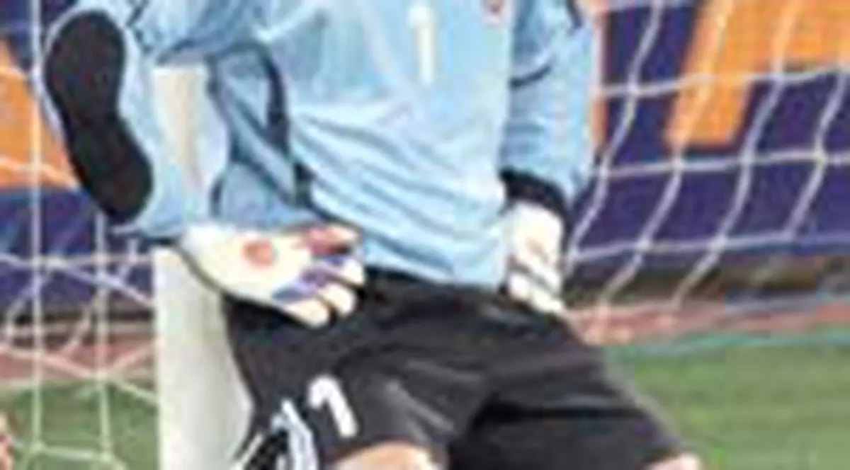 Piturca nu l-a mai chemat pe Lobont