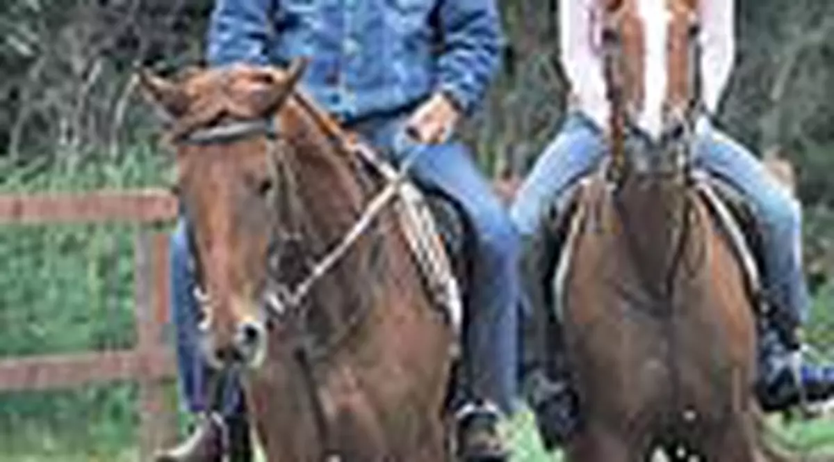 Adrian Pintea a calarit alaturi de noii colegi