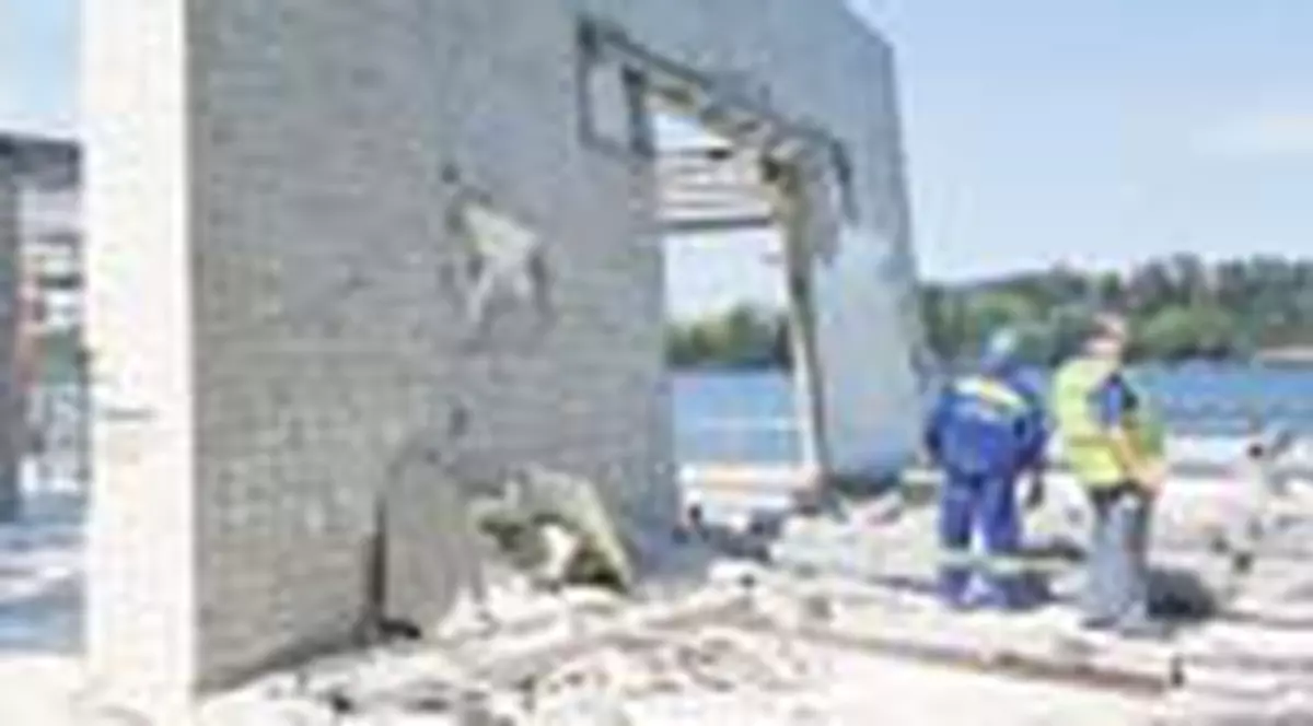 A cazut terasa lui Mitica