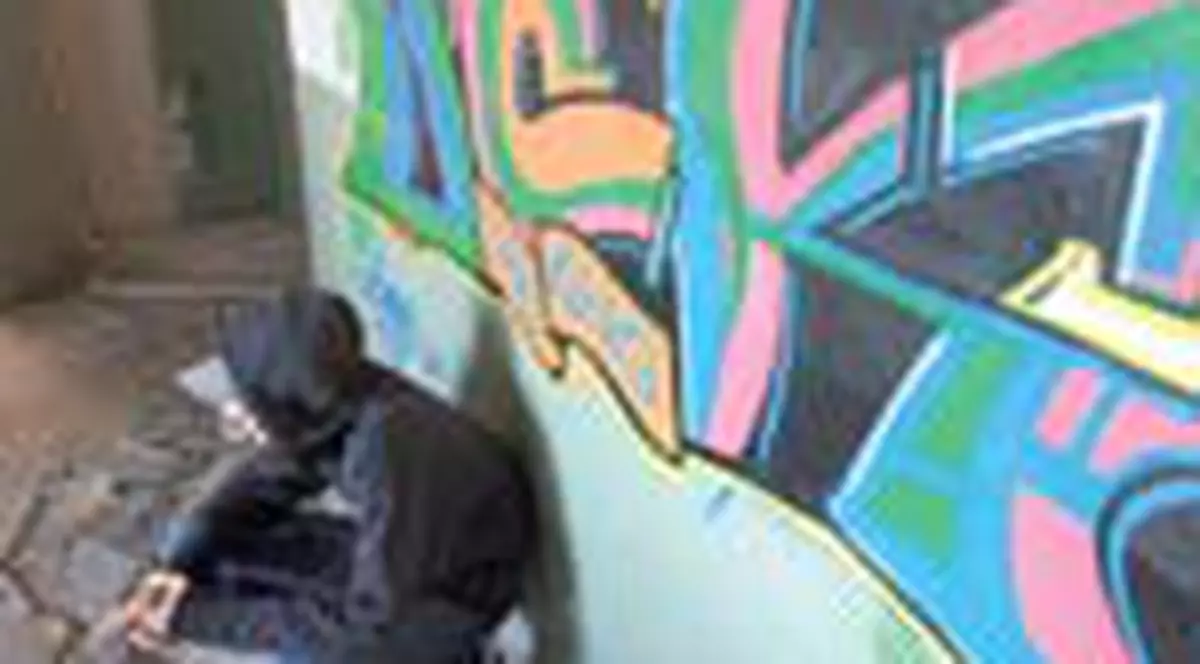 Vopsesc tot ce le pica in mana