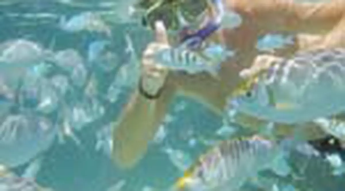 SCUFUNDARI IN MALDIVE