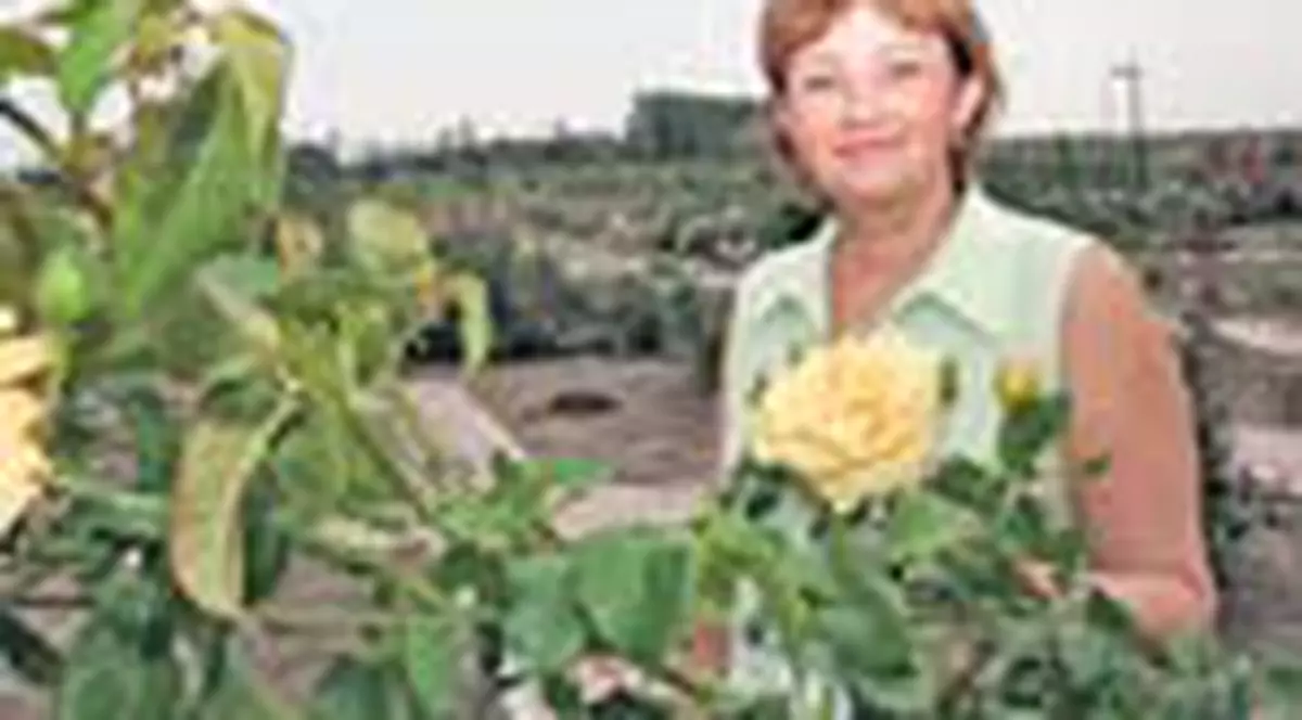 Are peste o mie de soiuri de trandafiri