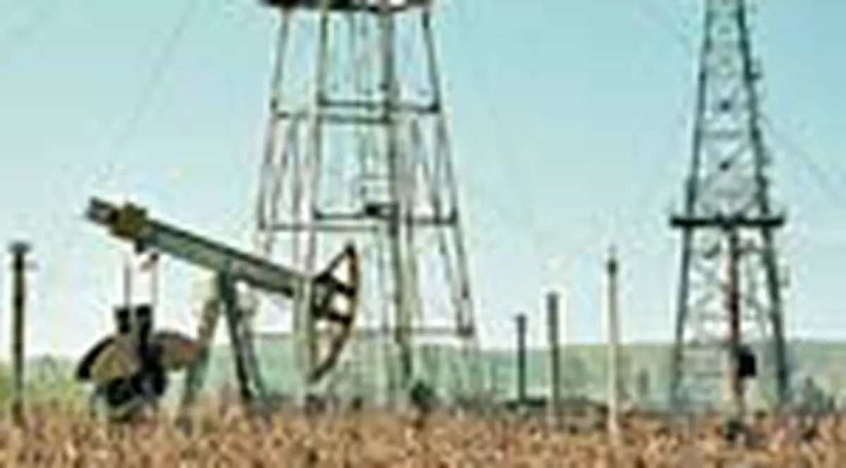 Petrom a luat pe nimic 1.500 de hectare de teren