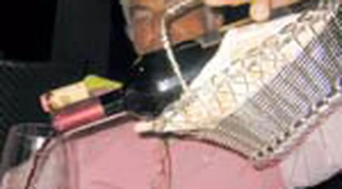 Vinul rosu, bun  pentru imunitate