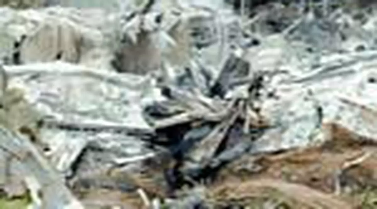 'Nimic nu a anuntat prabusirea avionului'