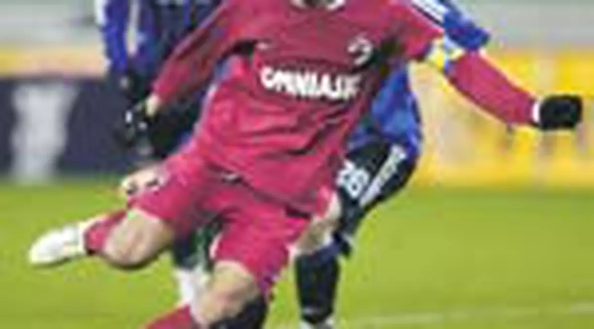 'Cainii' acuza dur arbitrajul