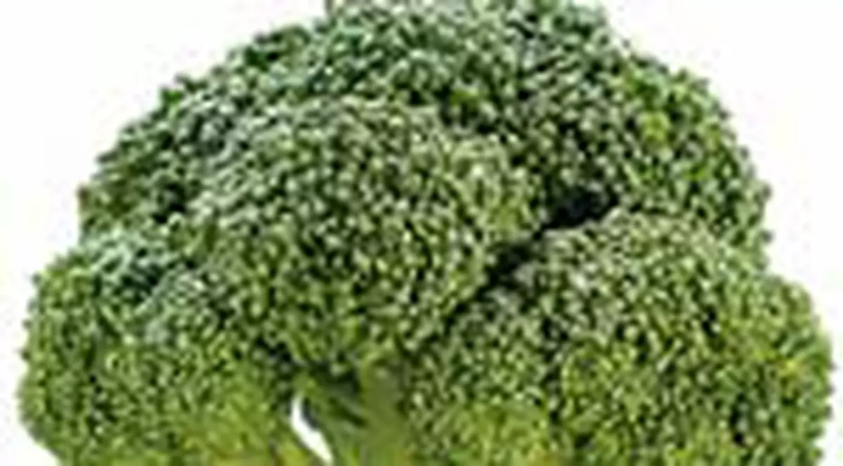 Broccoli, cel mai bun anticancerigen natural