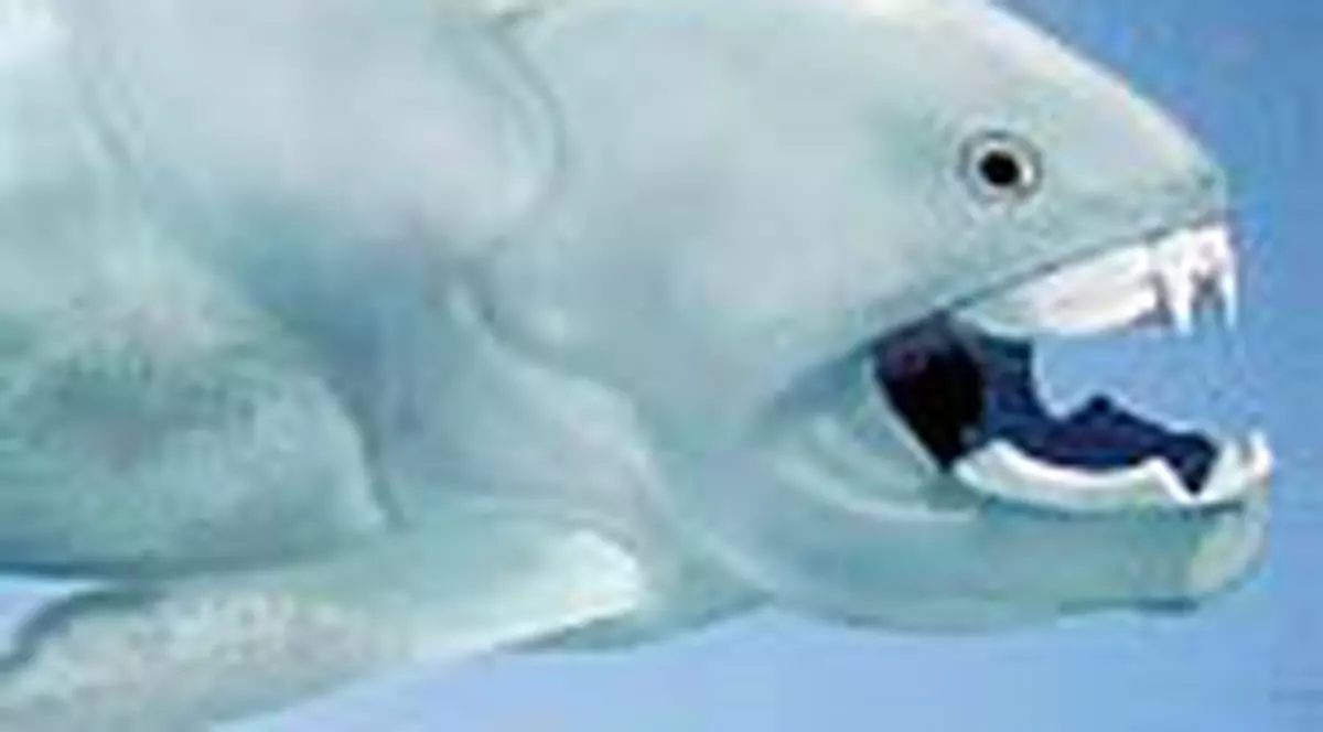 Un peste preistoric cantarea patru tone