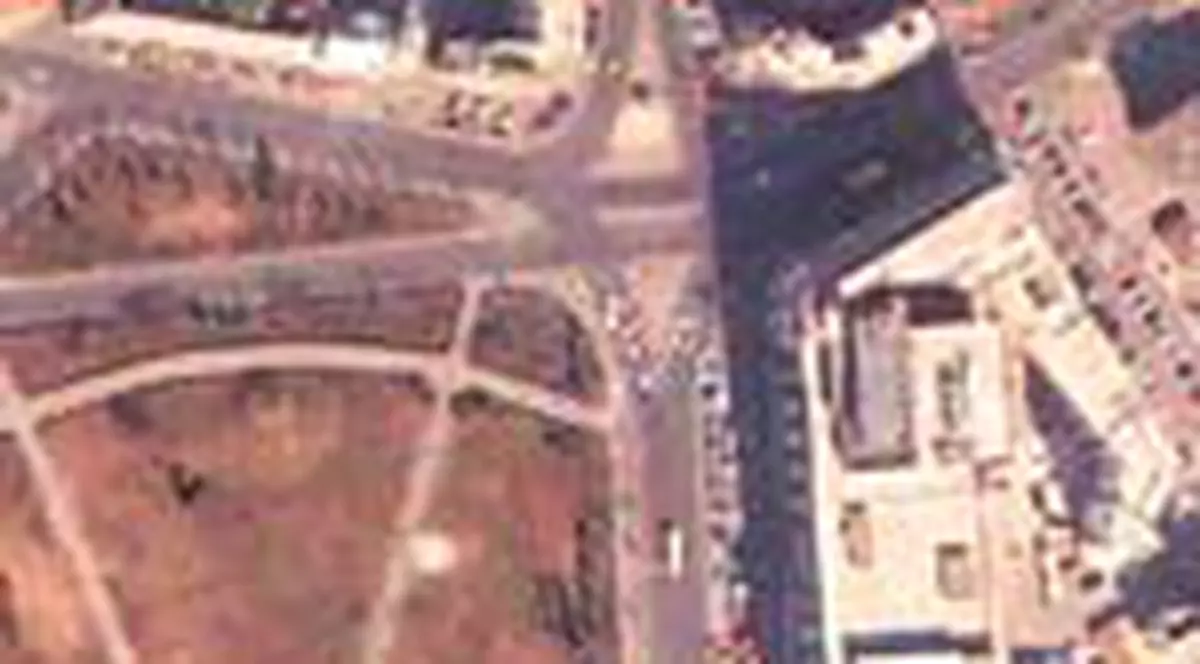 Impuscaturi pentru manele