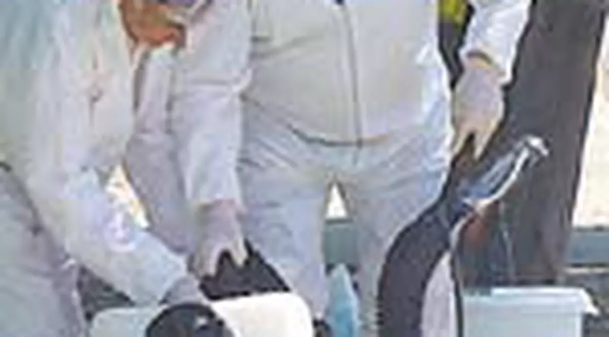 Aviara nu a disparut si ar putea reveni in primavara