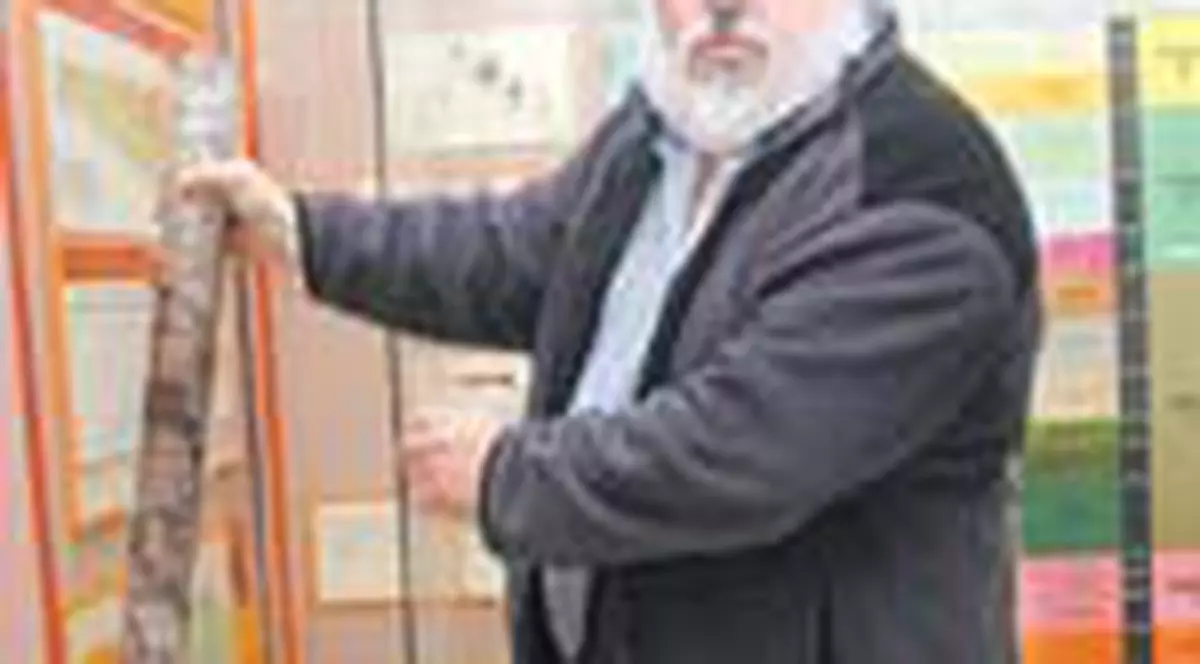 Pietre detectoare de petrol