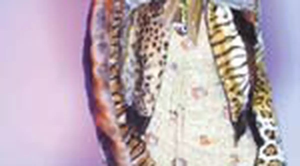 'Nu ma marit cu Ovidiu Petre'