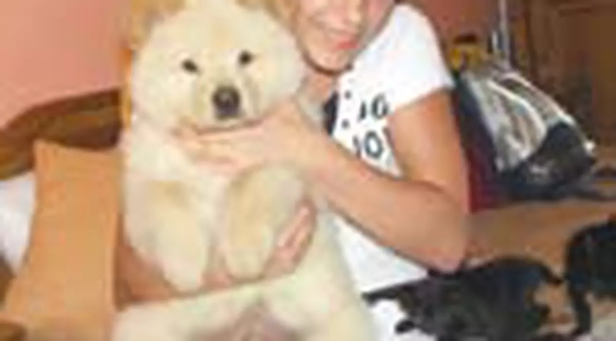 Animalutele Catalinei Ponor