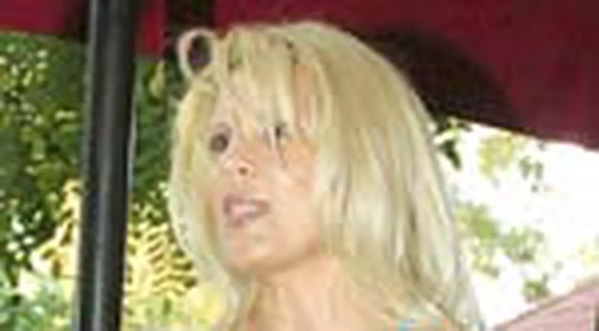 Sosie pentru Elena Udrea