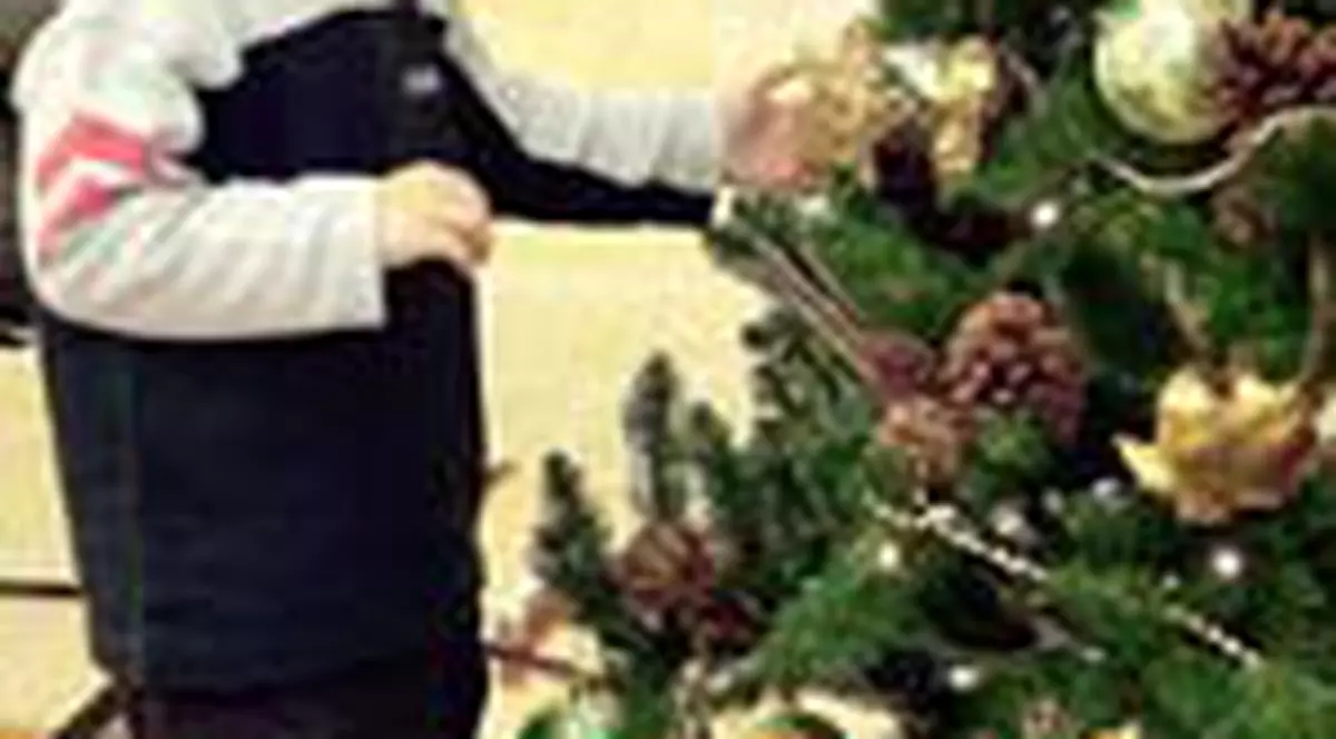 6 trucuri pentru un brad mereu verde