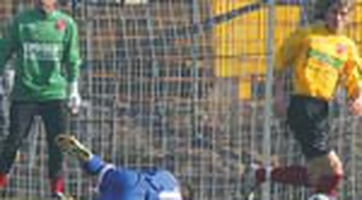 Lobont e seful 'cainilor'