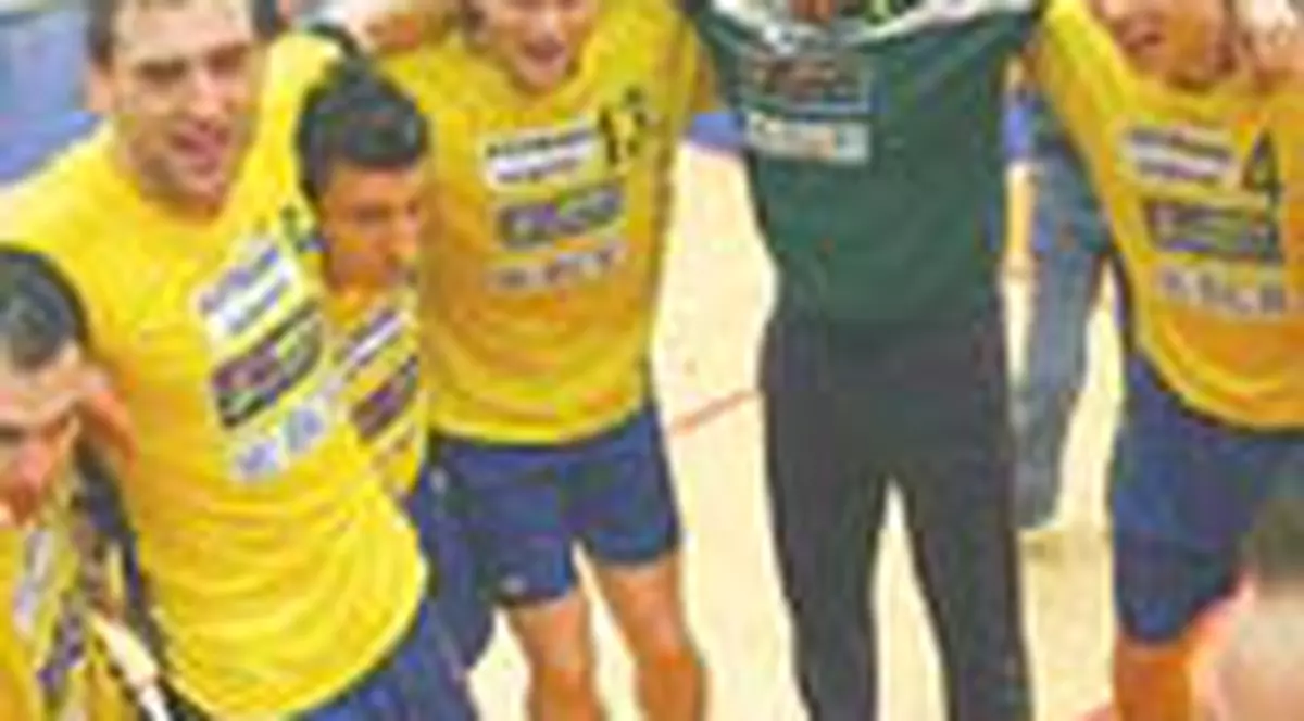 Handbalistii, la doi pasi de Euro 2008