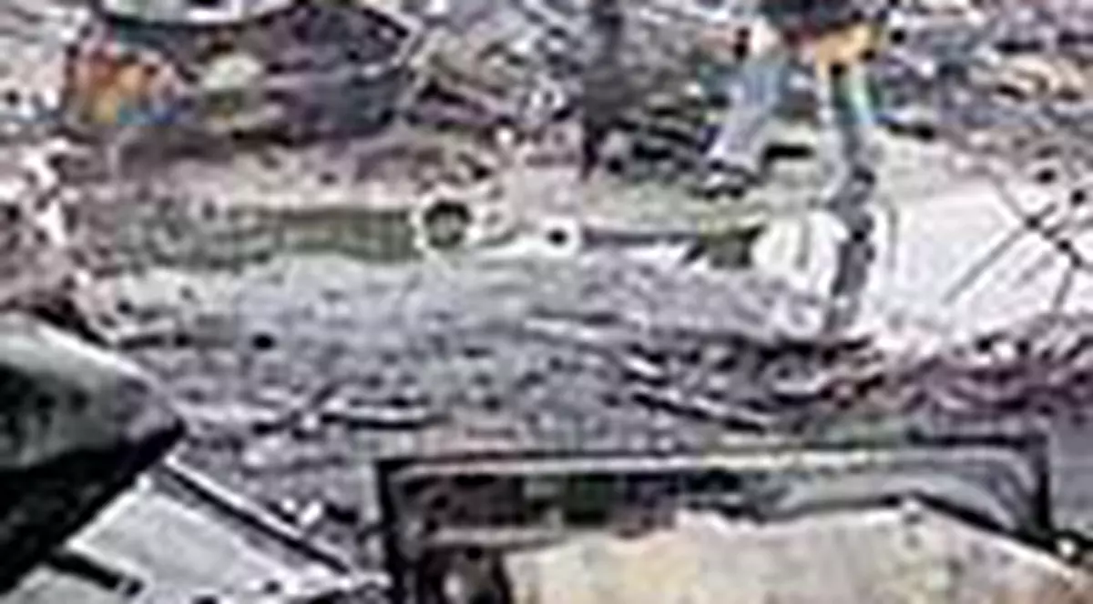 Italienii vor zid antitigani in jurul orasului Milano