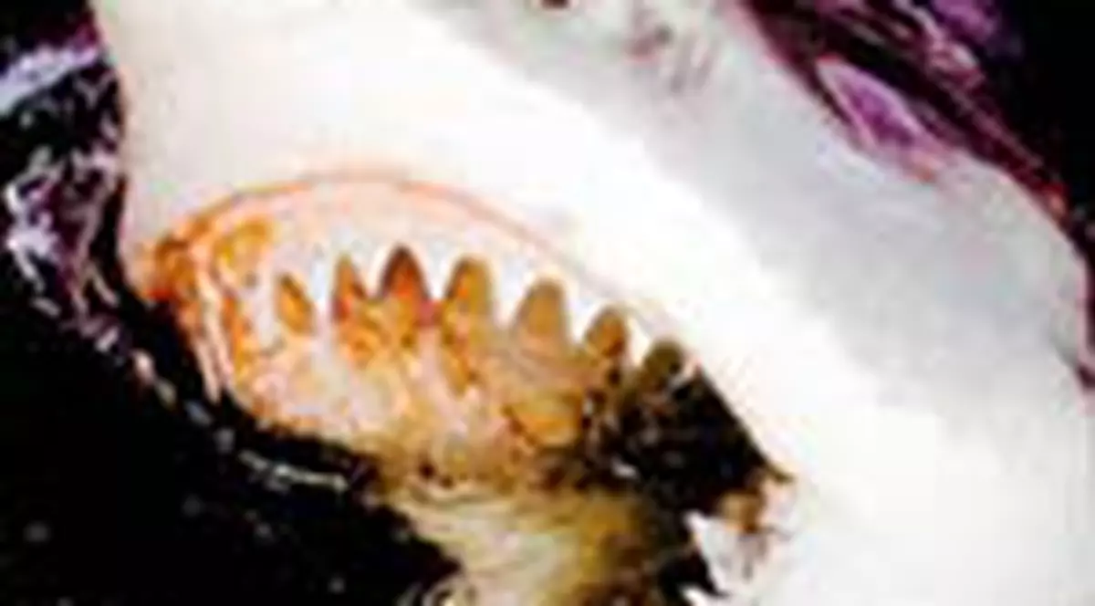 A stat doua minute in rechin