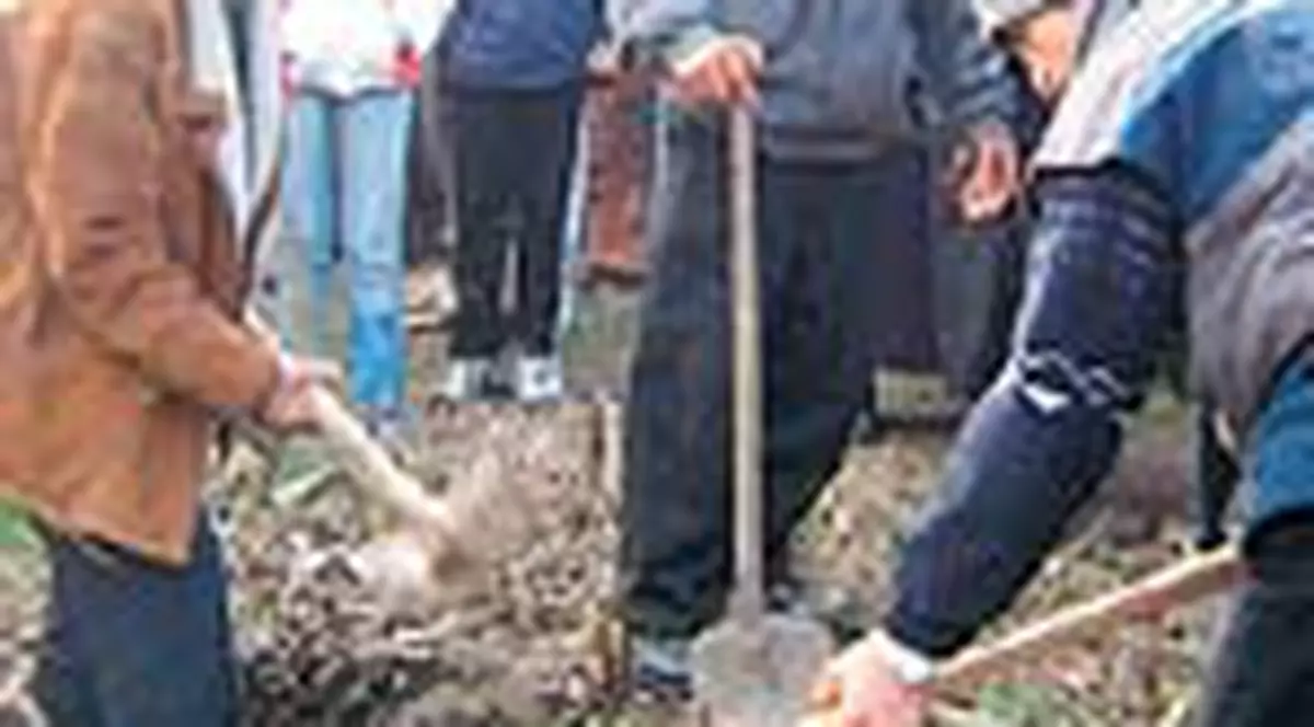 Au vrut sa-si ingroape mortul in curte