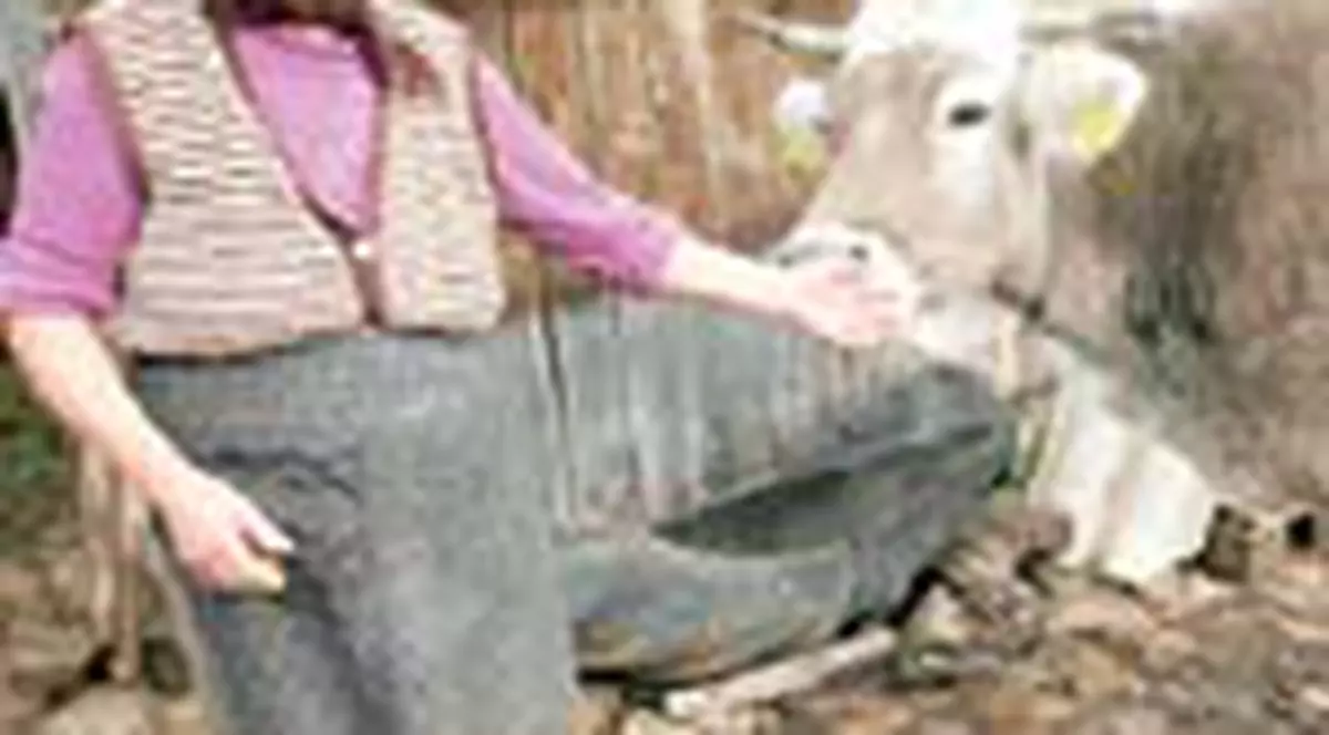 Ei s-au integrat primii in Europa