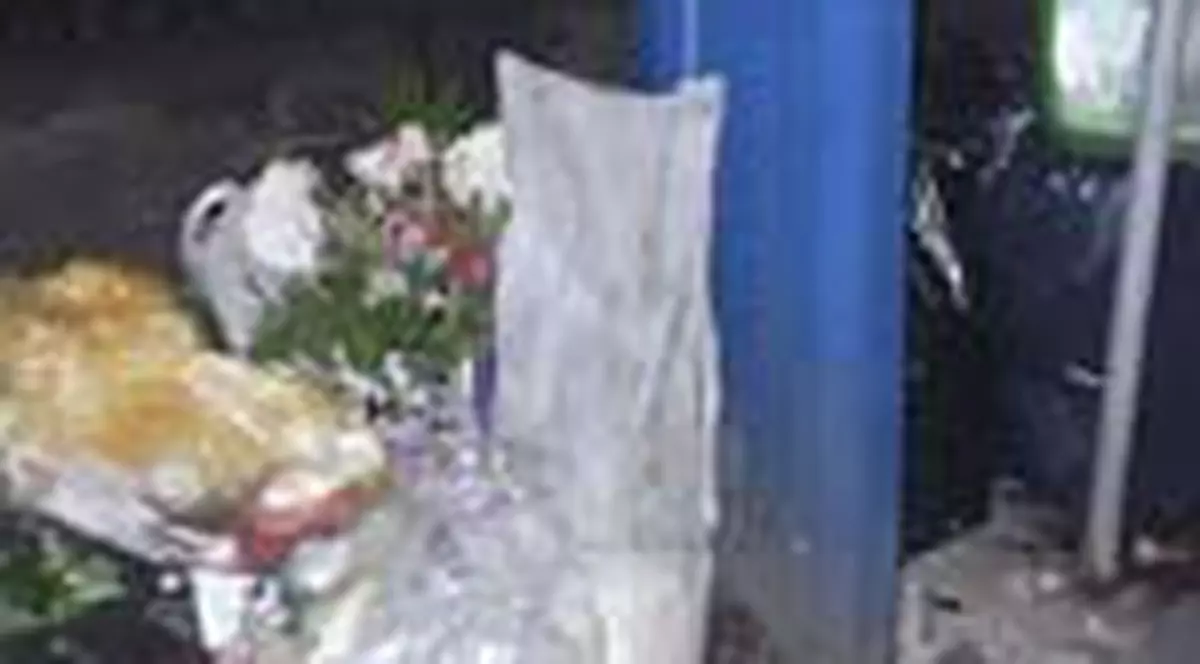 Matura 3.000 de metri patrati in 8 ore