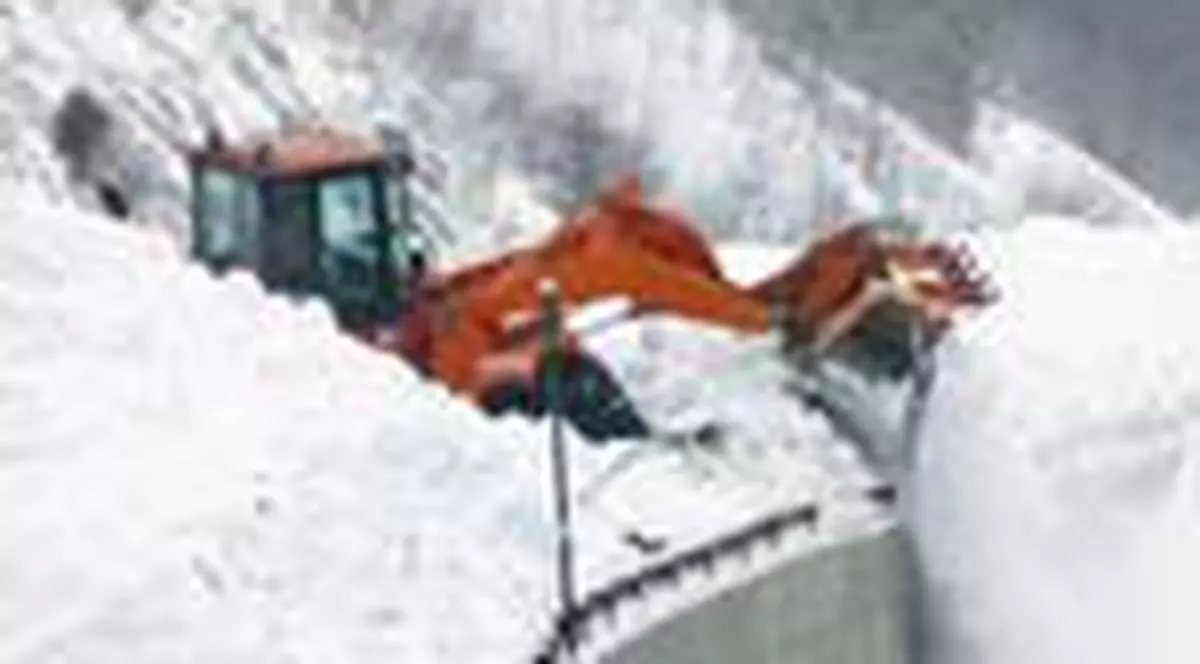 Avalansa in Colorado, plaja la New York