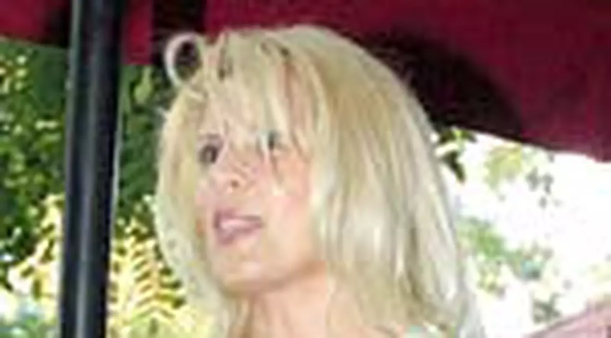 Elena Udrea, audiata ca martor in dosarul 'biletelului roz'