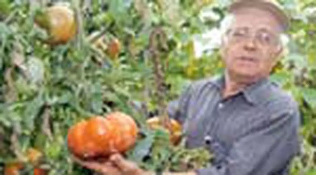 Cum puteti lucra in  fermele din Anglia